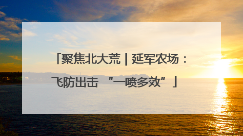 聚焦北大荒｜延军农场：飞防出击 “一喷多效”